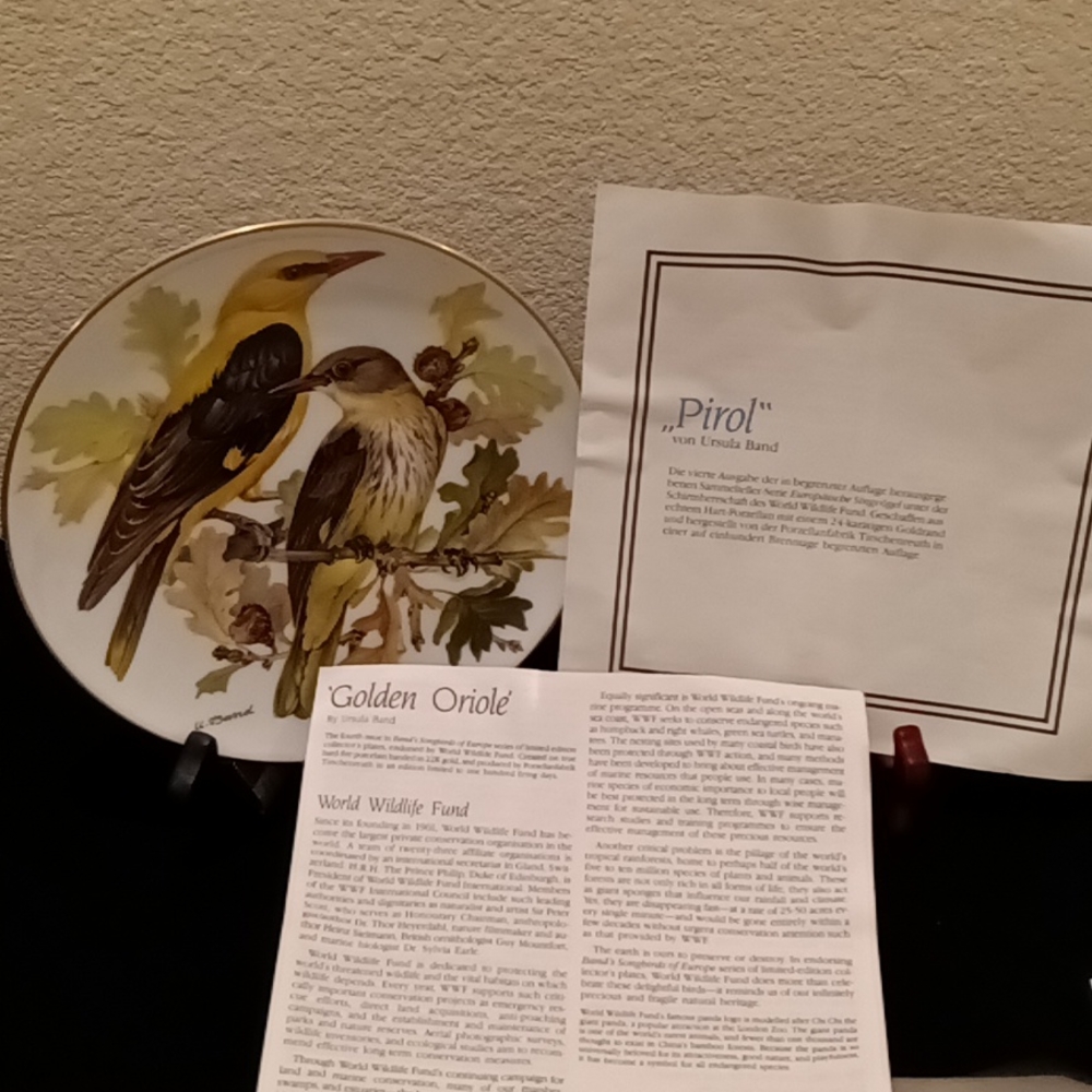 Collection Plate - Picture 4 of 10